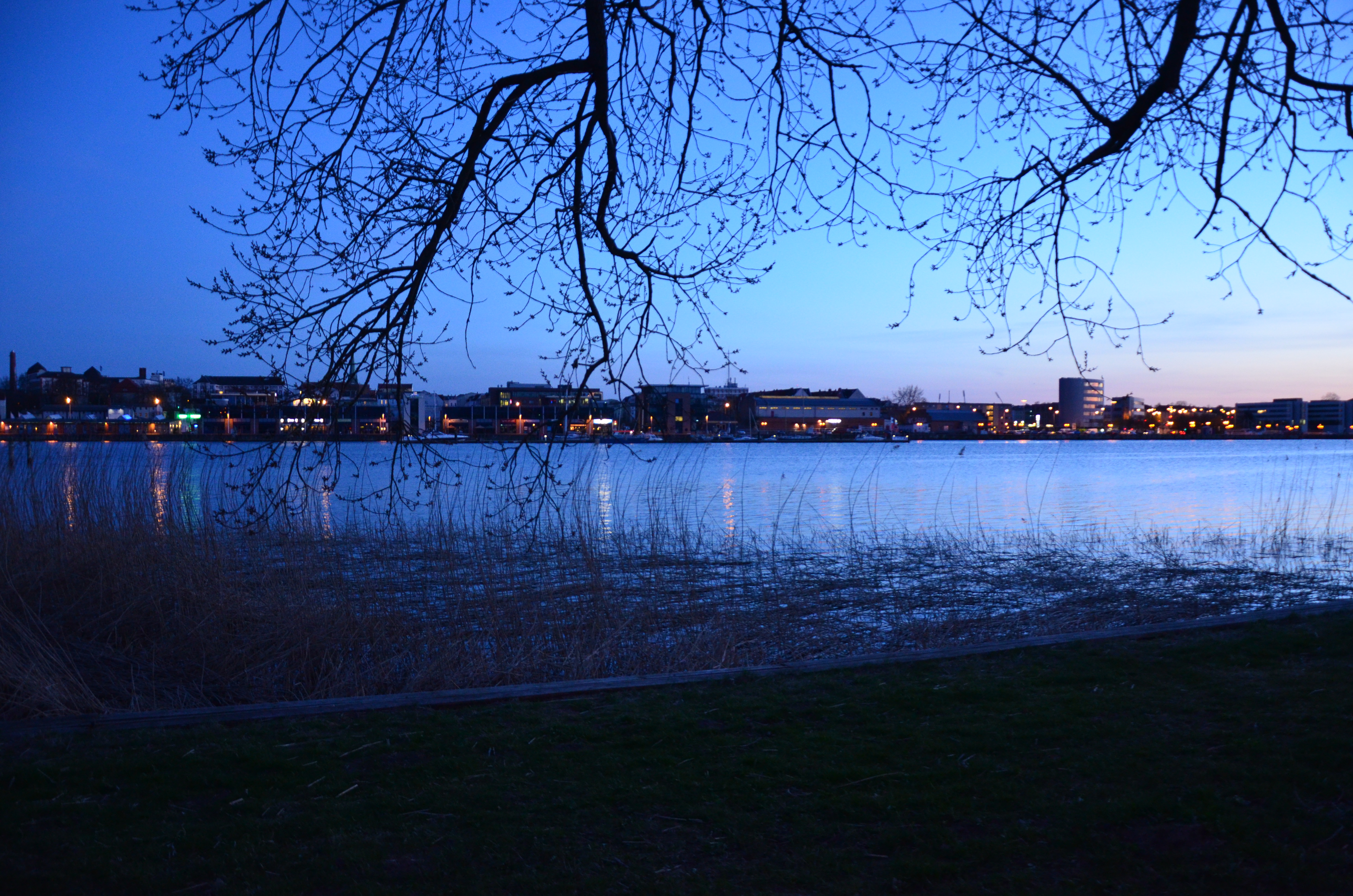 rostock 36