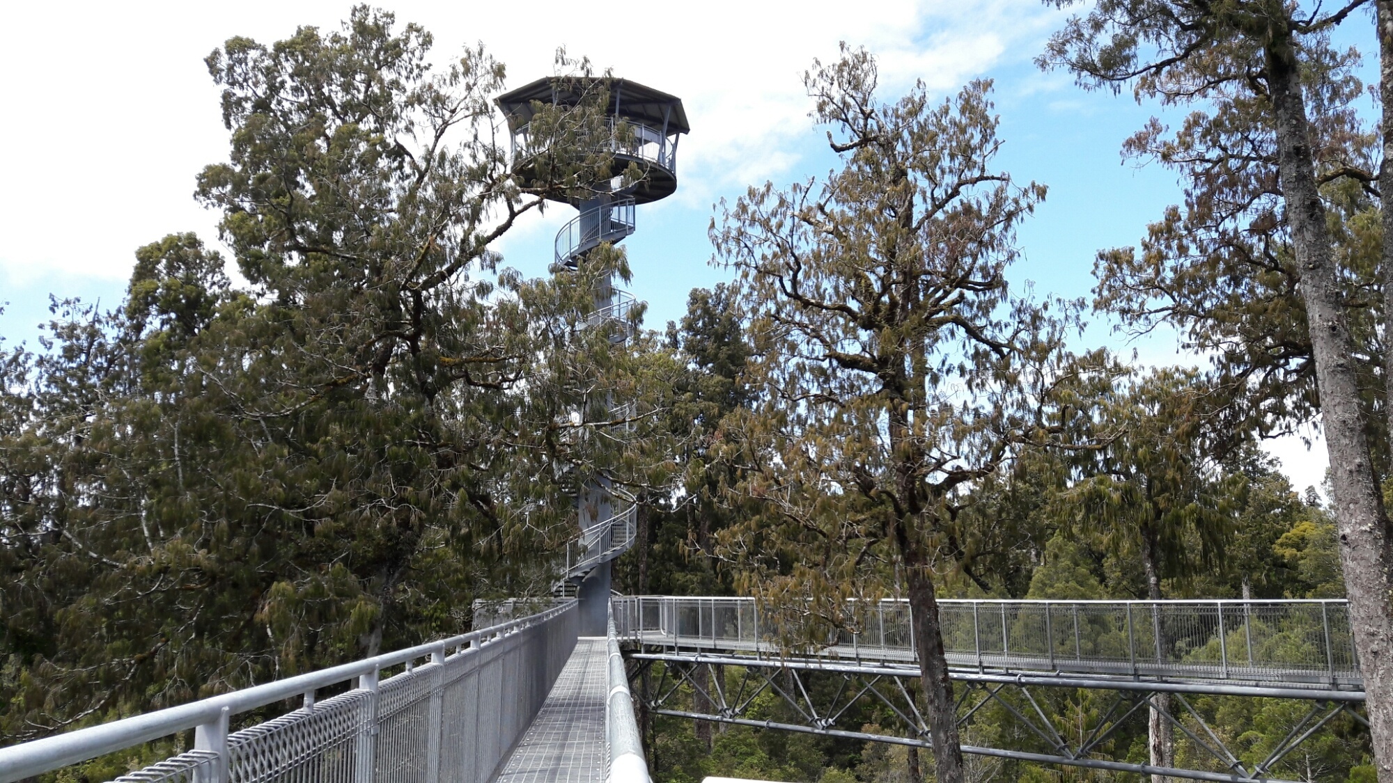 wp image 1289212216jpg