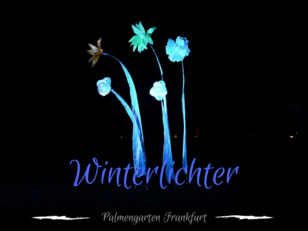 winterlichter
