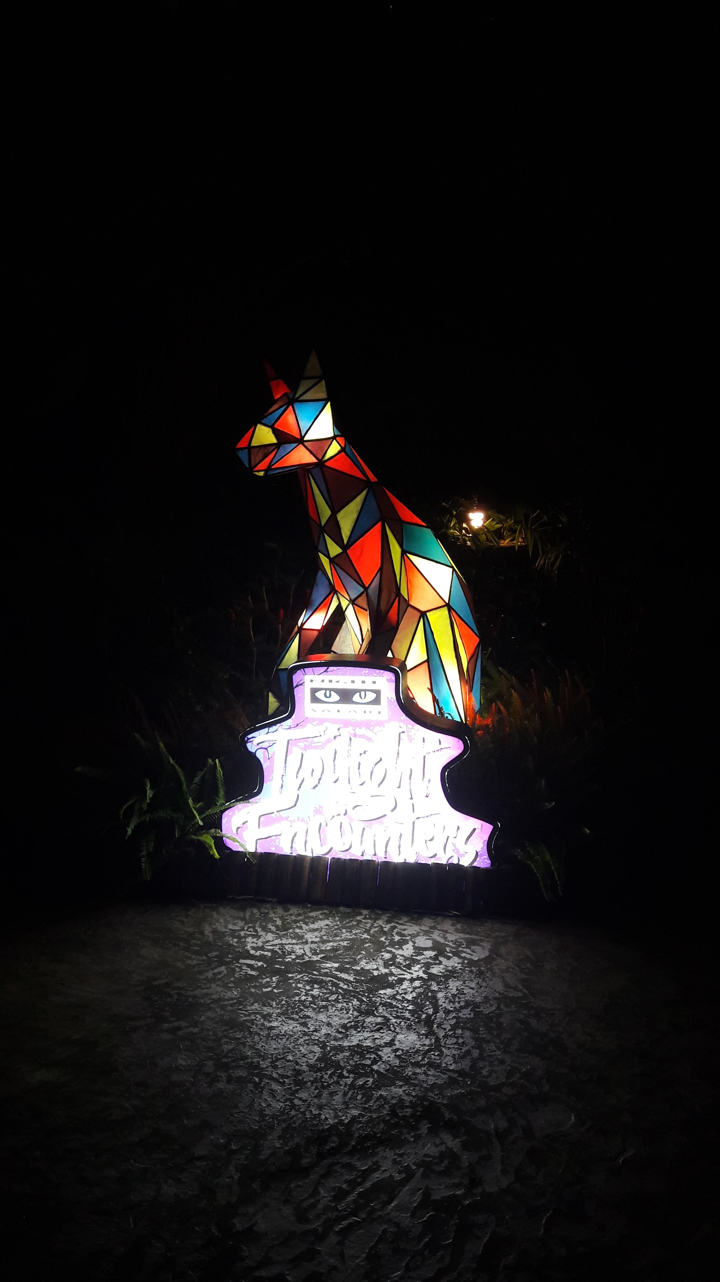 zoo singapore night safari