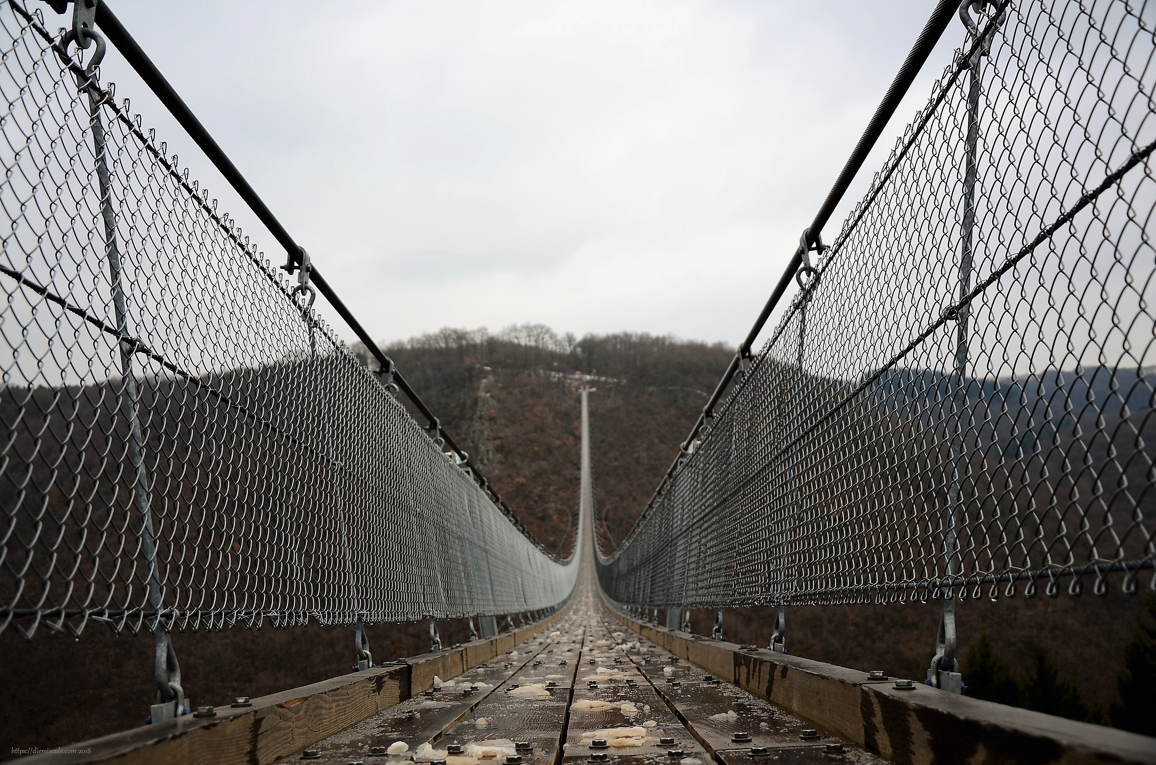 Geierlay (47) hängeseilbrücke im fokus mit eis