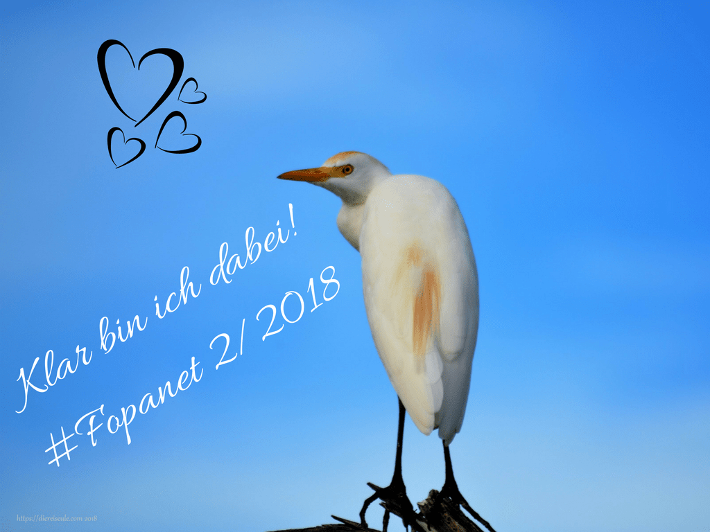 Klar bin ich dabeiFopanet 2 2018