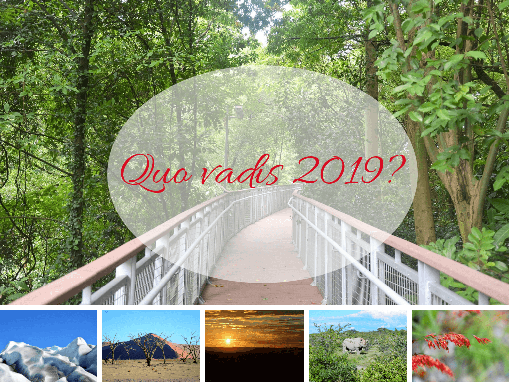 Quo vadis 2019