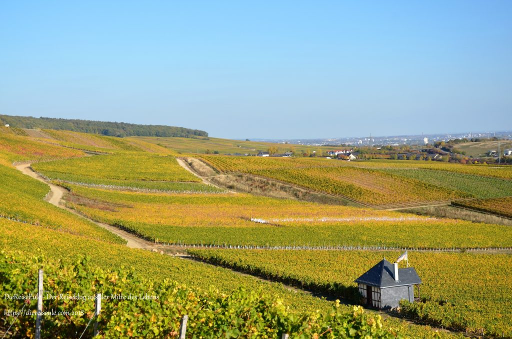 Rauenthal 34.jpga .jpga