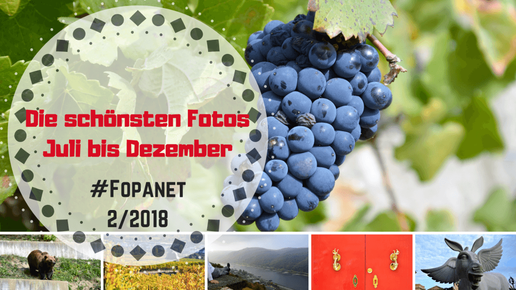Fopanet2 2018 1