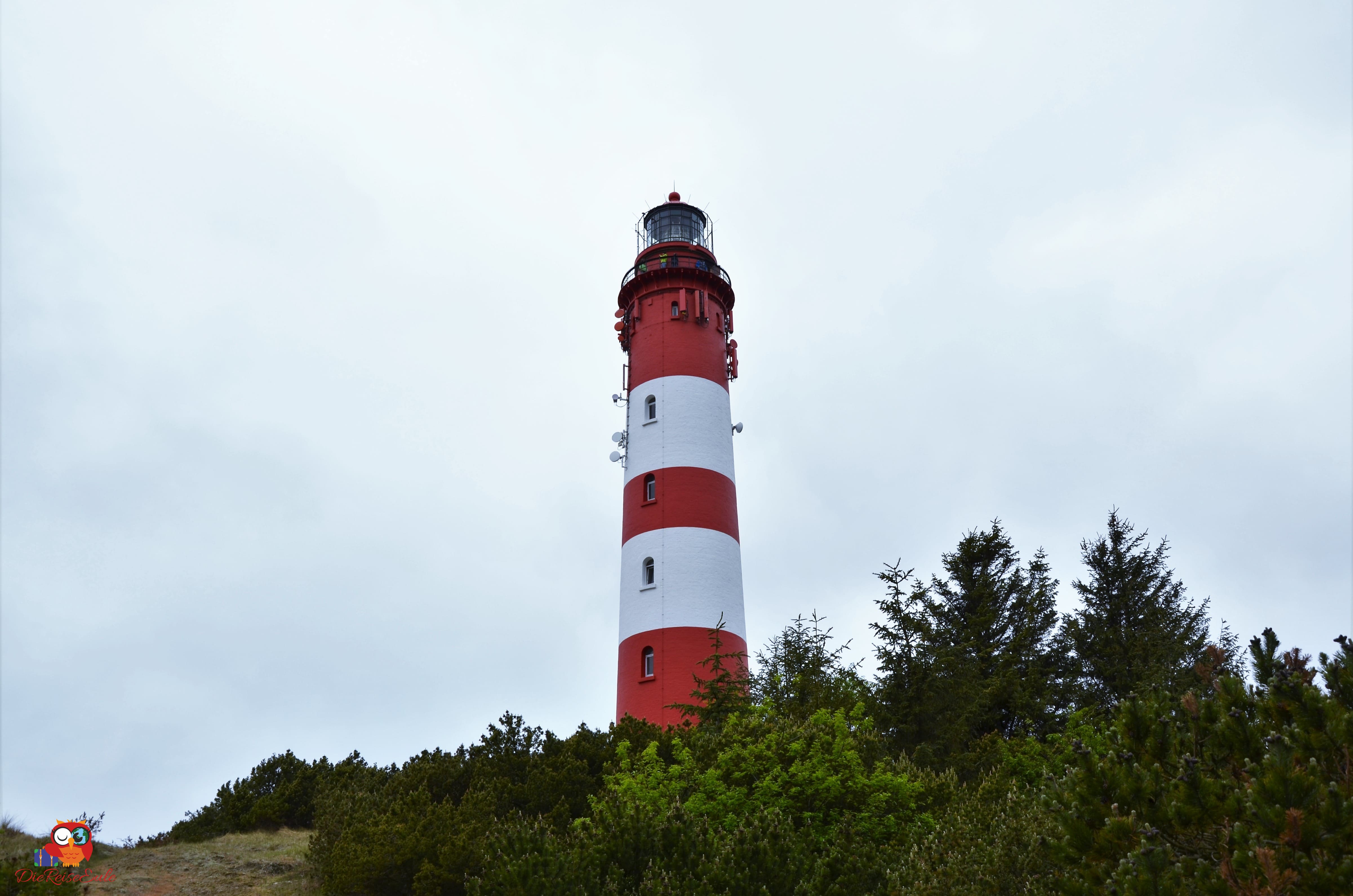 Amrum2019 (267)