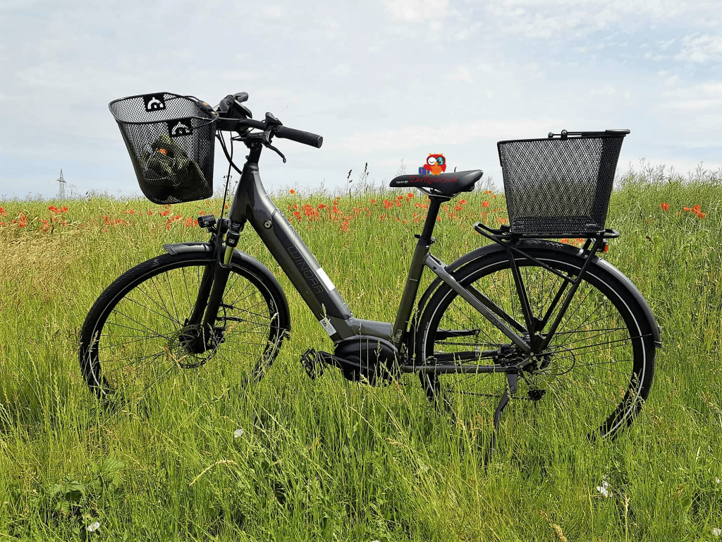 E Bike Winora i9 8a min