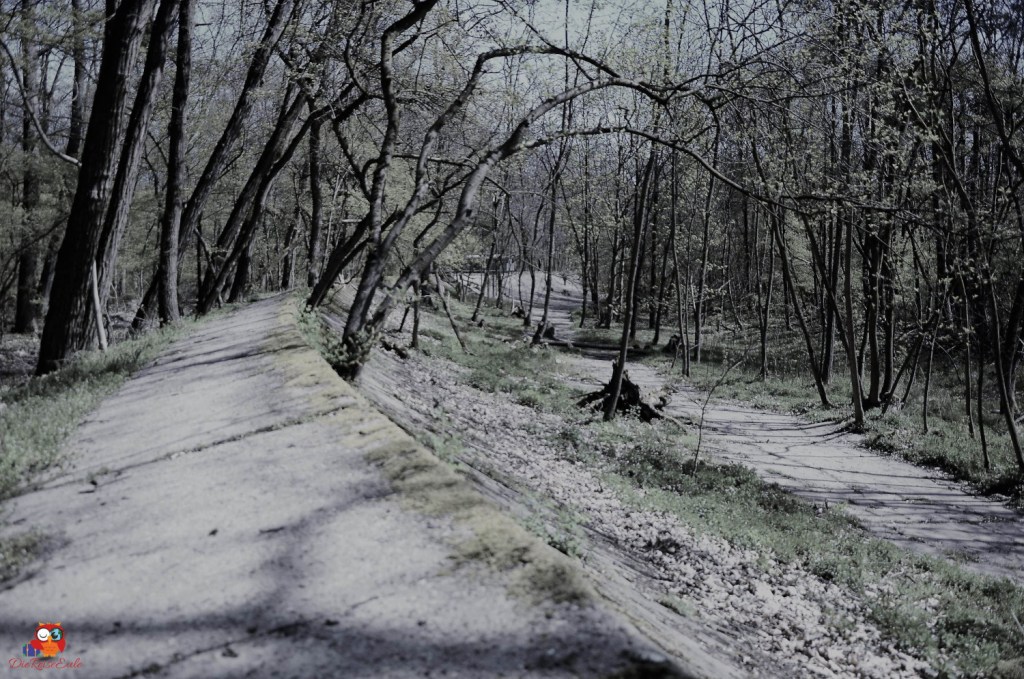 alte opel rennbahn rüsselsheim