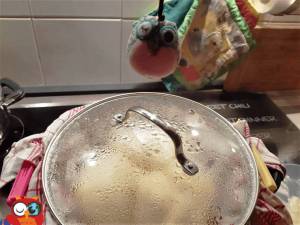 germknödel dampfnudel