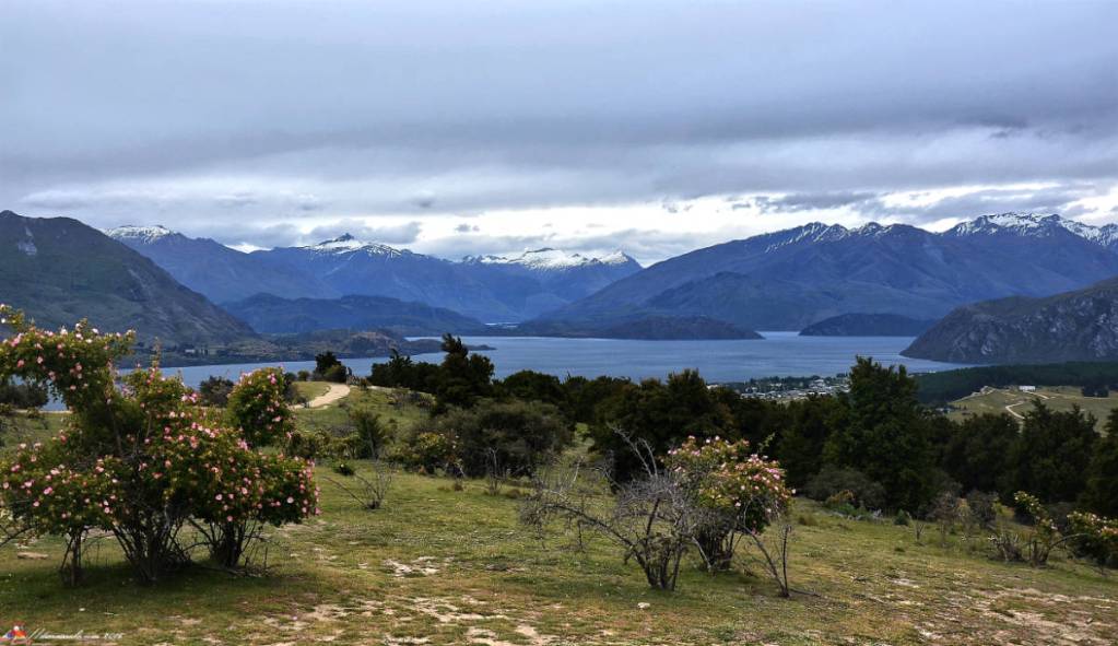 Wanaka