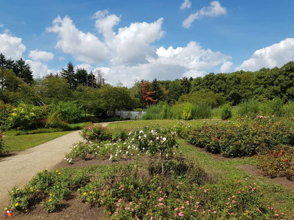 Regionalpark Rundroute Portal Hattersheim 77Header