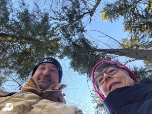 Selbstporträt eines Paares im Freien, Blick nach oben auf hohe Bäume und blauen Himmel.