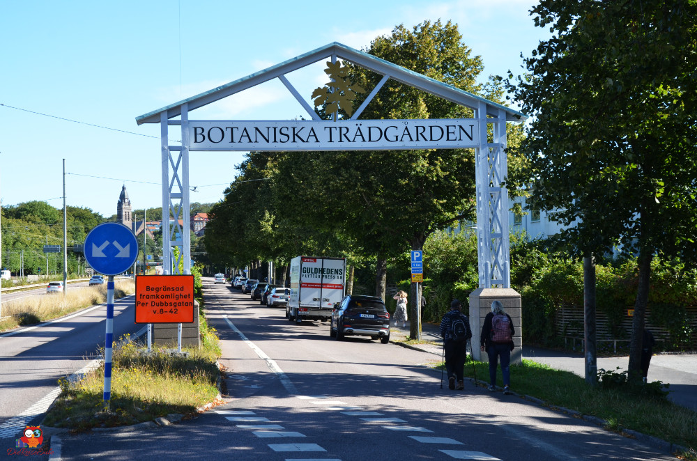 Goeteburg Maedelsausflug August 2025 43