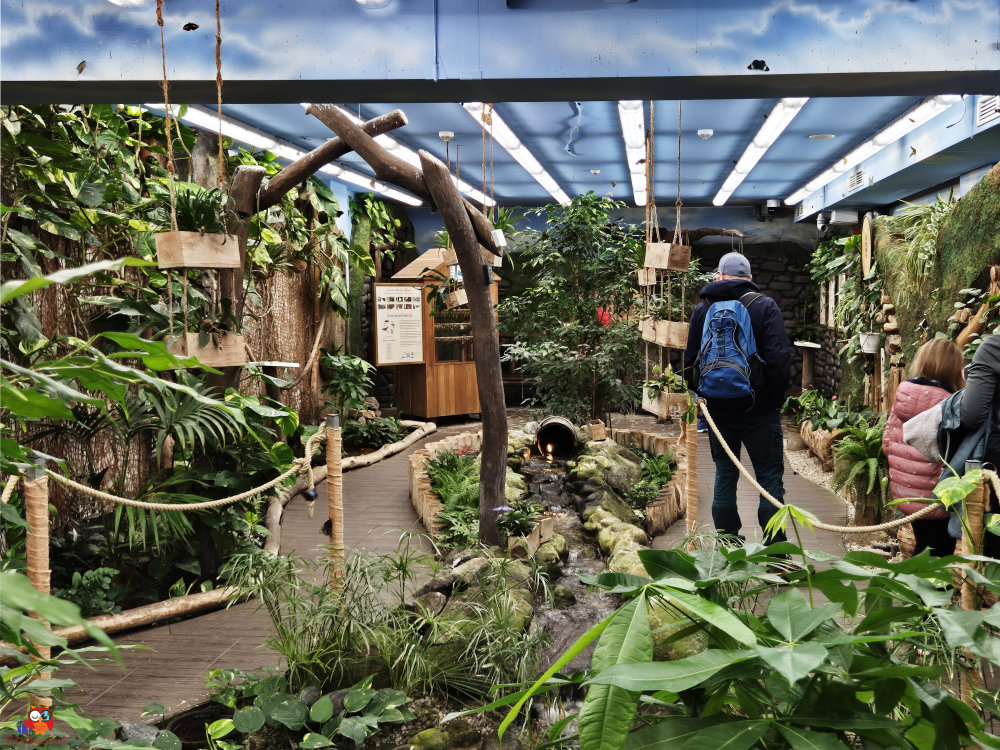 das innere des schmetterlinghauses