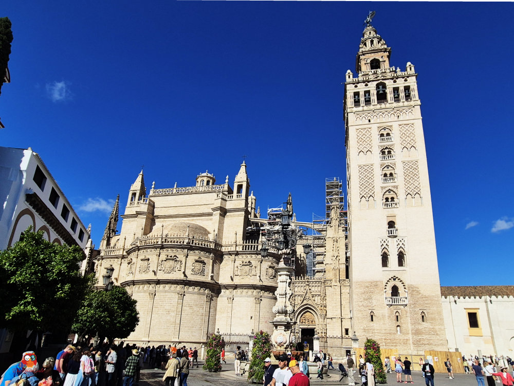 Die Kathedrale von Sevilla mit dem Giralda-Turm, umgeben von Besuchern und blühenden Pflanzen, unter einem klaren blauen Himmel.
