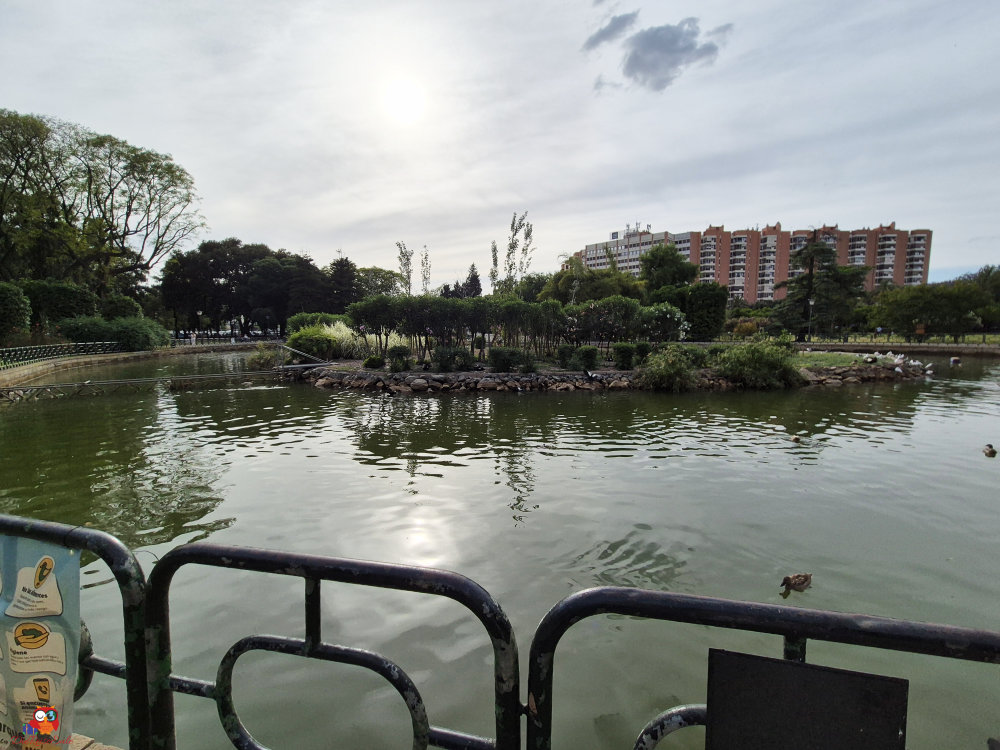 Blick auf einen ruhigen Parksee mit umgebenden Bäumen und Sträuchern, im Hintergrund sind Hochhäuser sichtbar und die Sonne steht am Himmel.
